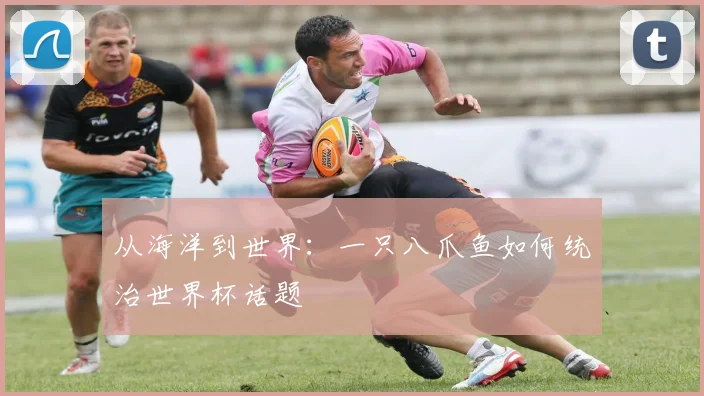 从海洋到世界：一只八爪鱼如何统治世界杯话题