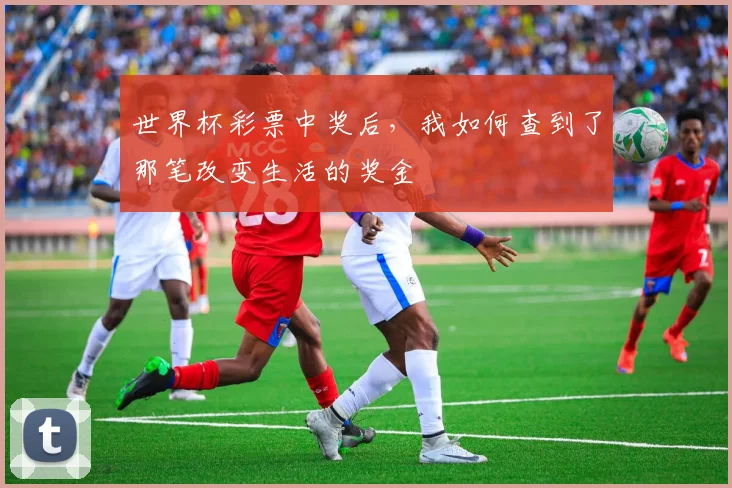 世界杯彩票中奖后，我如何查到了那笔改变生活的奖金