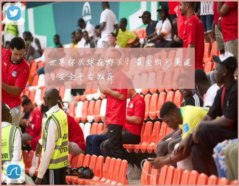 世界杯买球在哪买？最全购彩渠道与安全平台推荐
