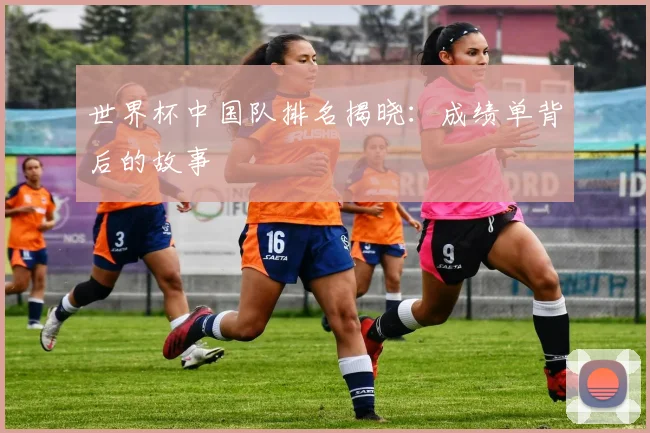 世界杯中国队排名揭晓：成绩单背后的故事